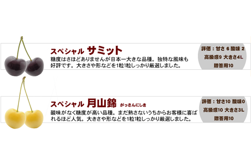 紅秀峰　佐藤錦　専用さくらんぼ約2kg(L.2L)　月山錦